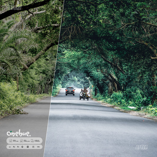 🖌️ Cinehue Signature Series – Cinematic 50+ Presets for Stunning Visuals