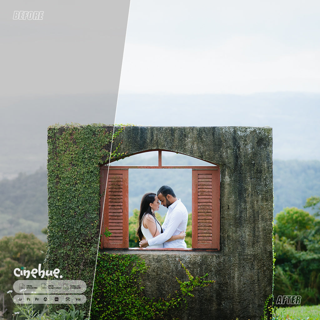 🎥 Cinehue Pro Essentials – Versatile 100+ Presets for Professional Editing