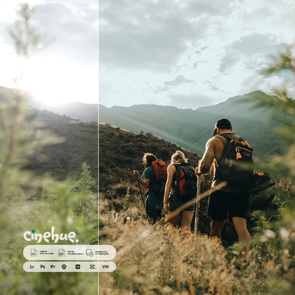 🎥 Cinehue Pro Essentials – Versatile 100+ Presets for Professional Editing