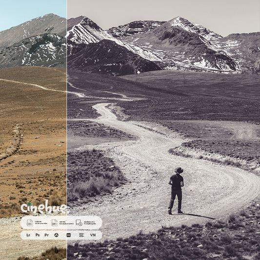 Monochrome Presets – 95 Pure, Timeless, Iconic Presets
