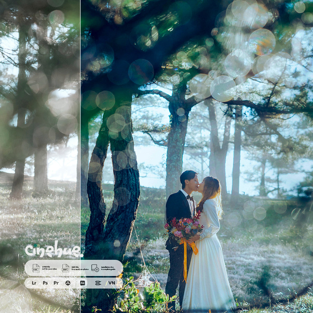 🎥 Cinehue Pro Essentials – Versatile 100+ Presets for Professional Editing