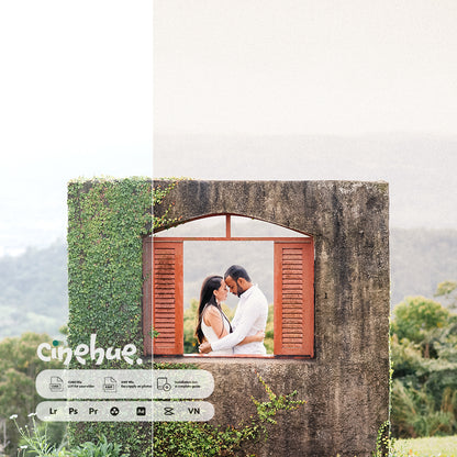 Film Grade – 100 Premium Presets