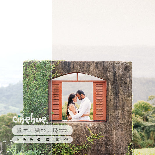 Film Grade – 100 Premium Presets