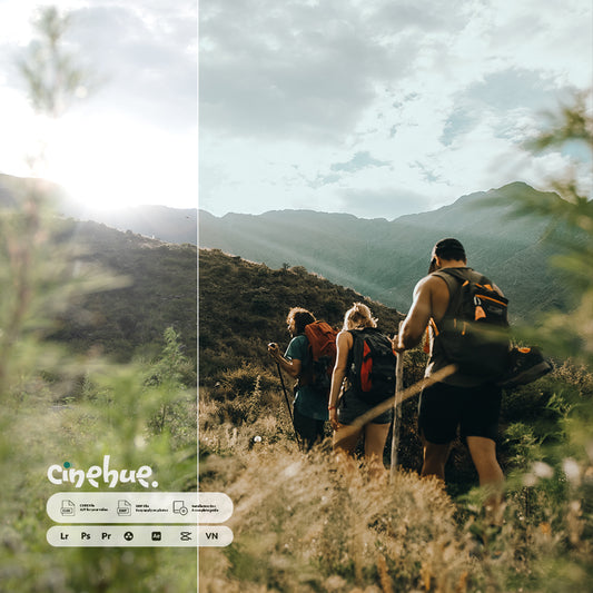 Luxe Warm – 100 Premium Presets