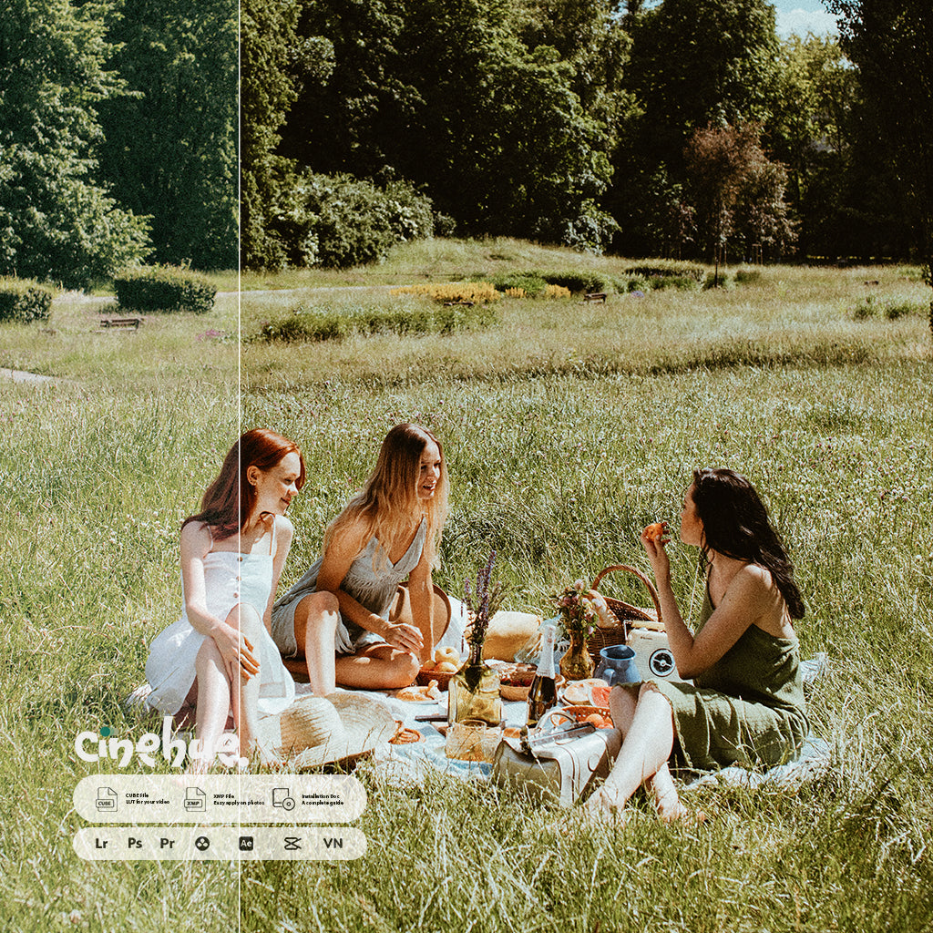 Premium Presets – 146 XMP + 146 LUTs