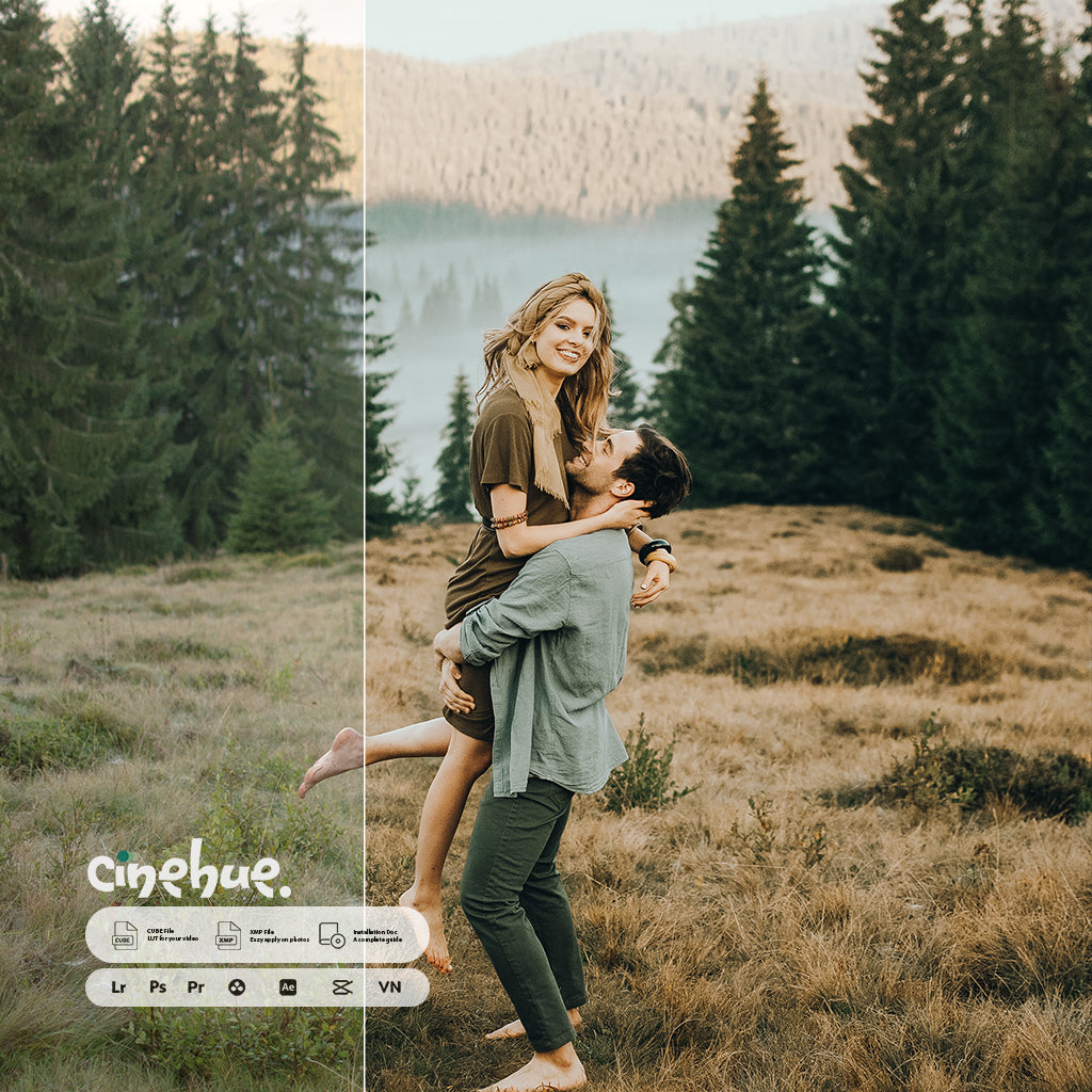 🎥 Cinehue Pro Essentials – Versatile 100+ Presets for Professional Editing