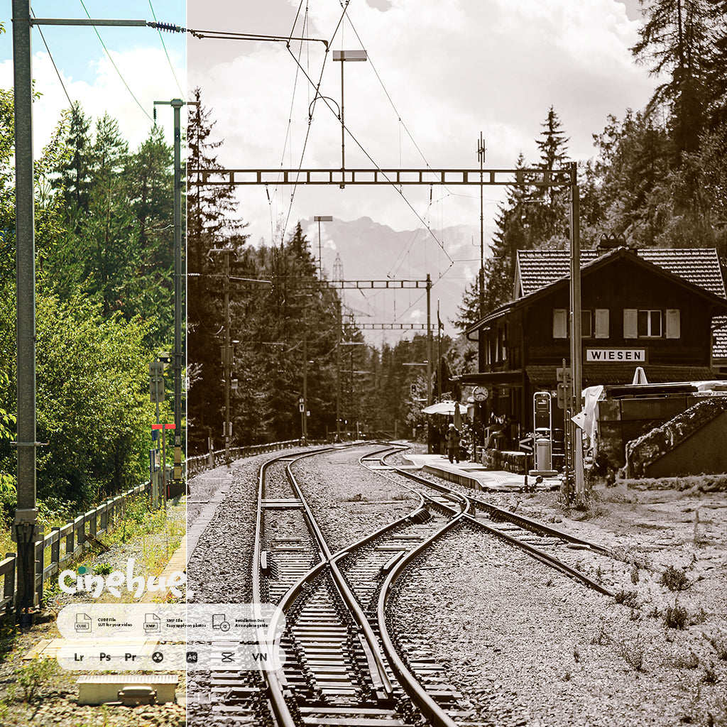 Monochrome Presets – 95 Pure, Timeless, Iconic Presets