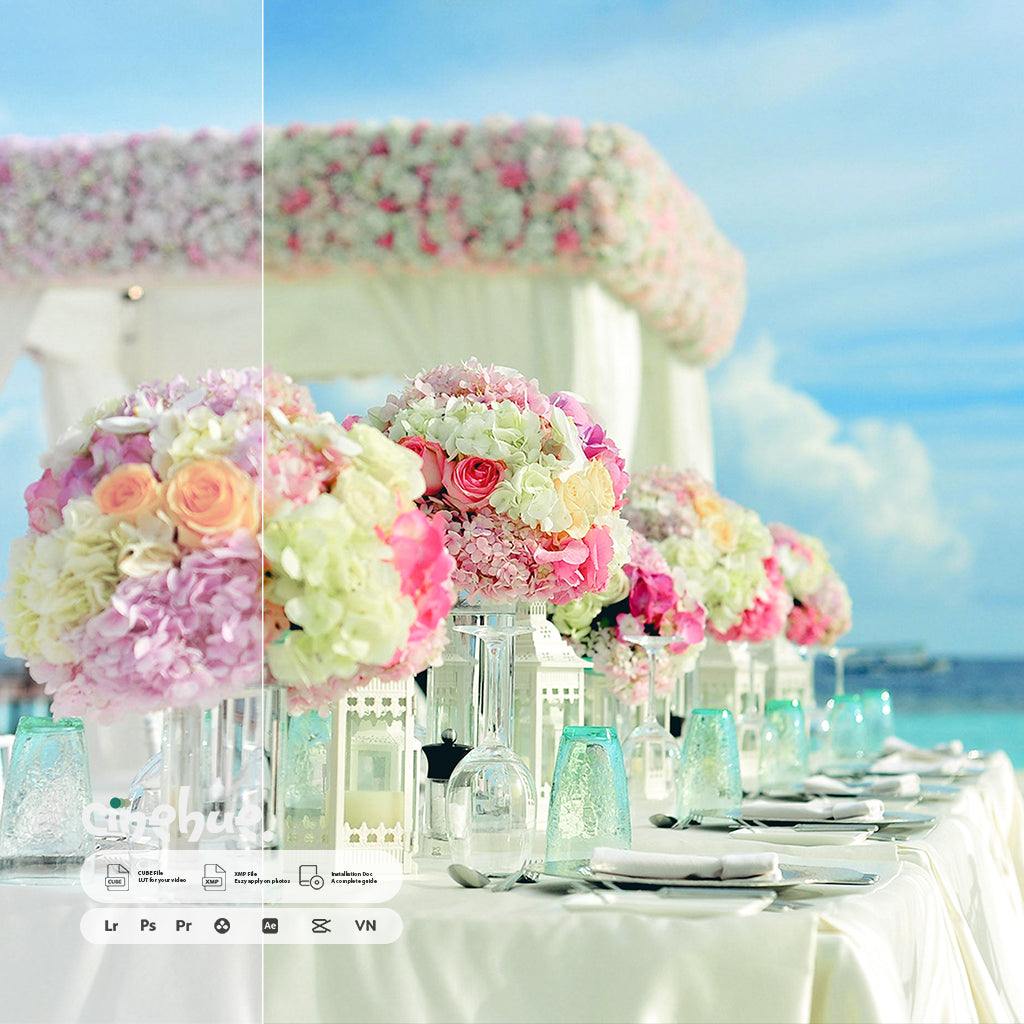 Wedding Presets – 249 XMP + 249 LUTs
