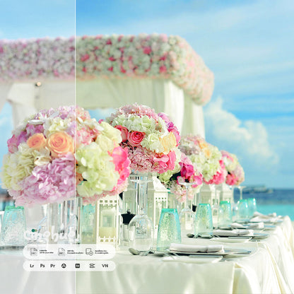 Wedding Presets – 249 XMP + 249 LUTs
