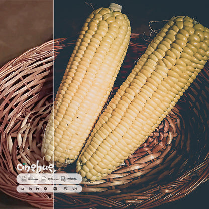 Food Presets – 266 XMP + 266 LUTs