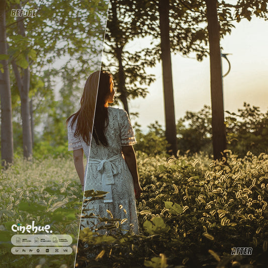 🖌️ Cinehue Signature Series – Cinematic 50+ Presets for Stunning Visuals