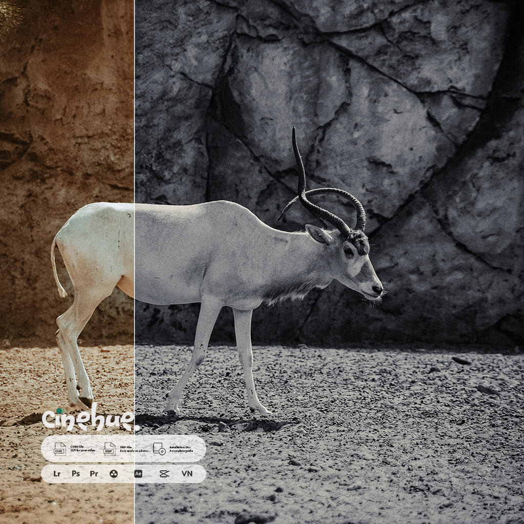 Monochrome Presets – 95 Pure, Timeless, Iconic Presets