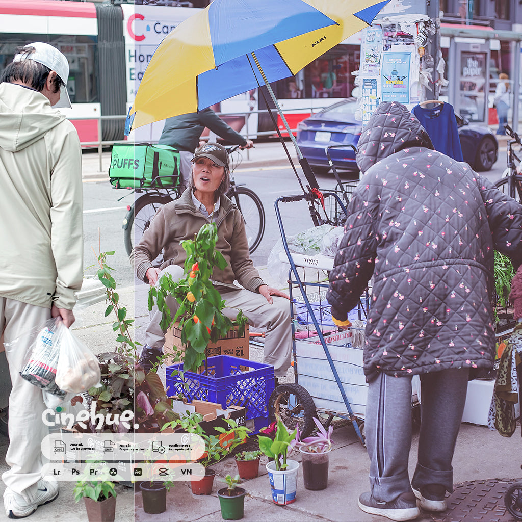 Urban Presets – 154 XMP + 154 LUTs