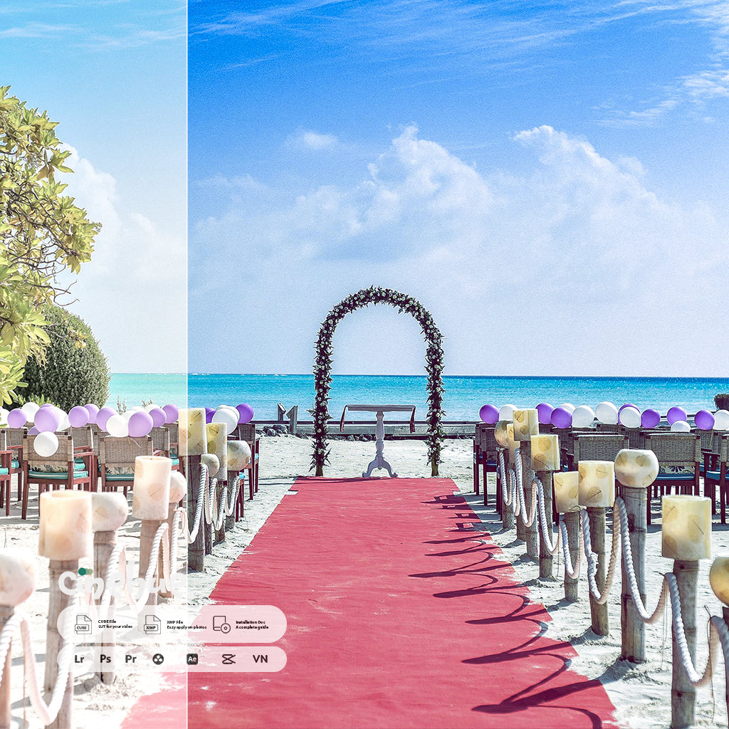 Wedding Presets – 249 XMP + 249 LUTs