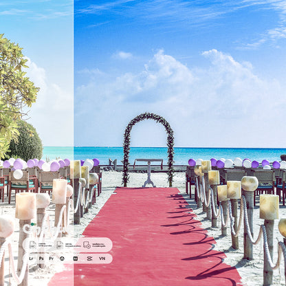 Wedding Presets – 249 XMP + 249 LUTs