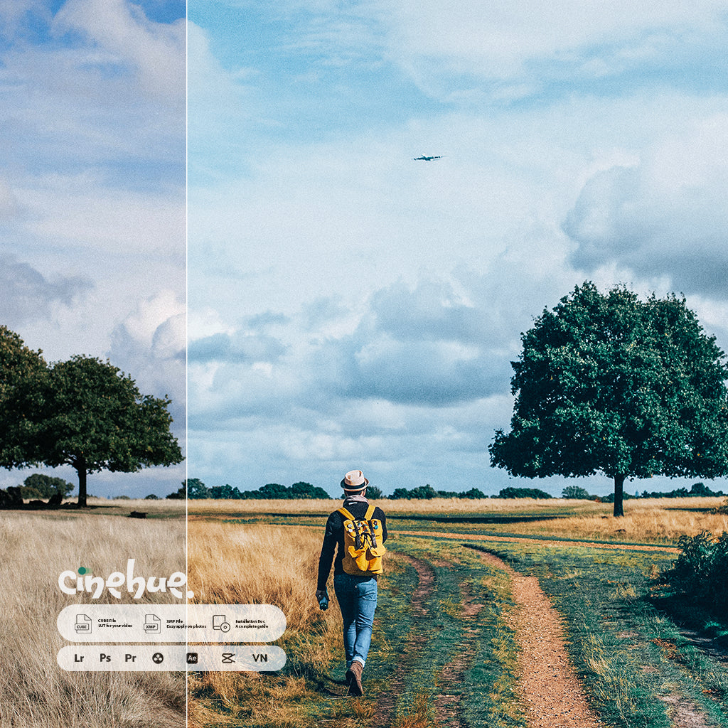 🎥 Cinehue Pro Essentials – Versatile 100+ Presets for Professional Editing