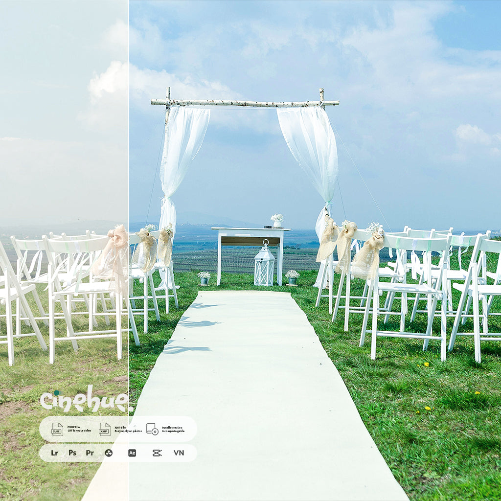 Wedding Presets – 249 XMP + 249 LUTs