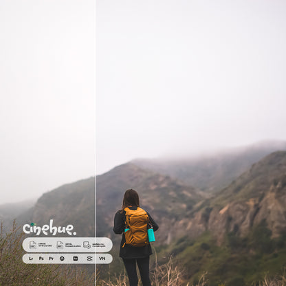 Film Grade – 100 Premium Presets