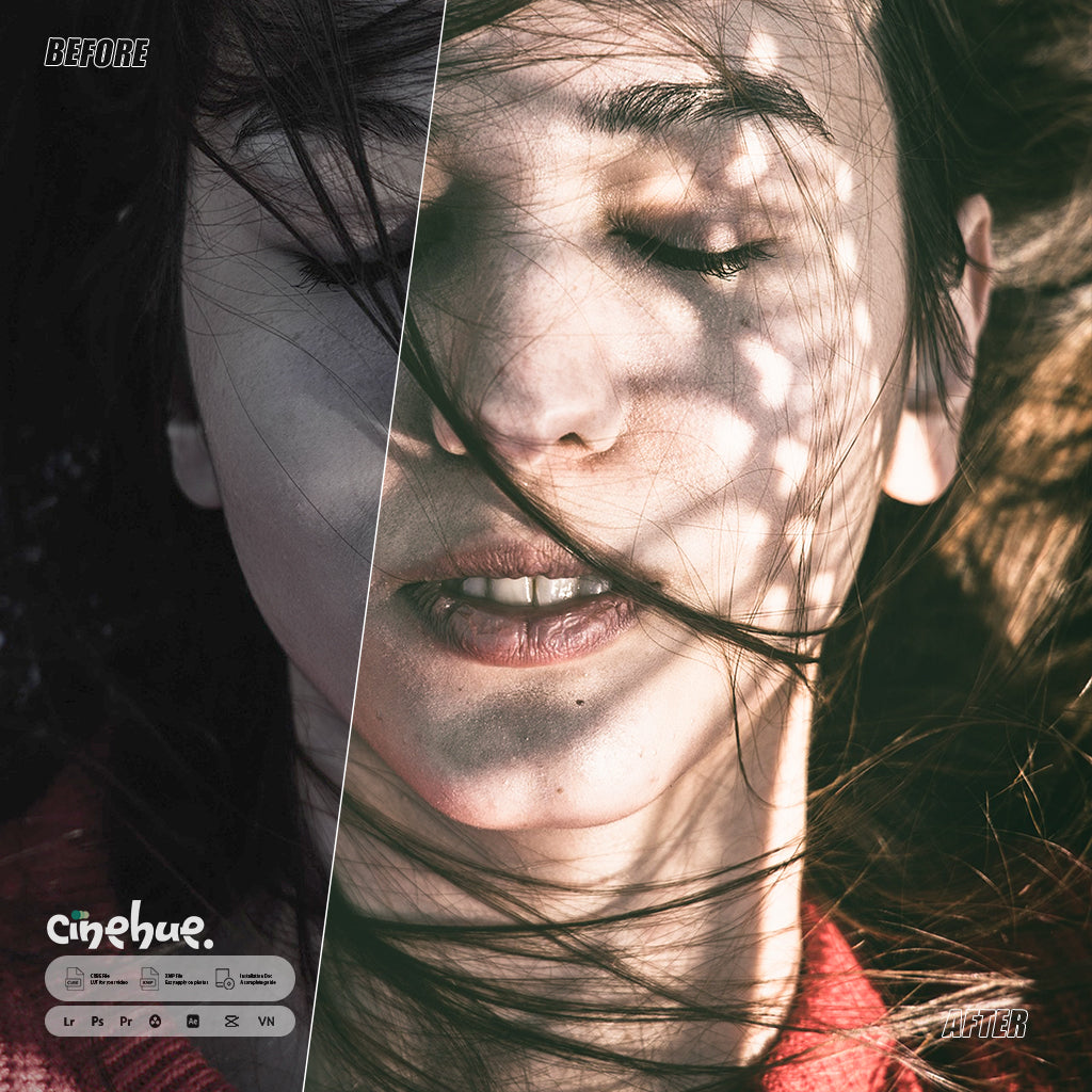🎥 Cinehue Pro Essentials – Versatile 100+ Presets for Professional Editing